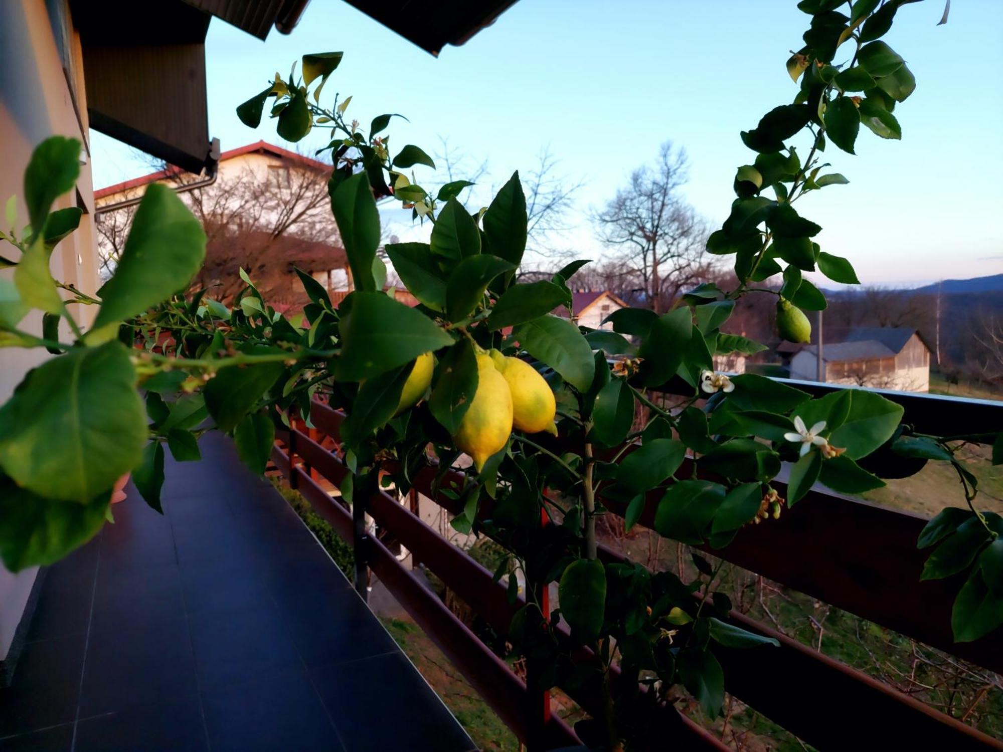 Apartman Masha Karlovac Esterno foto